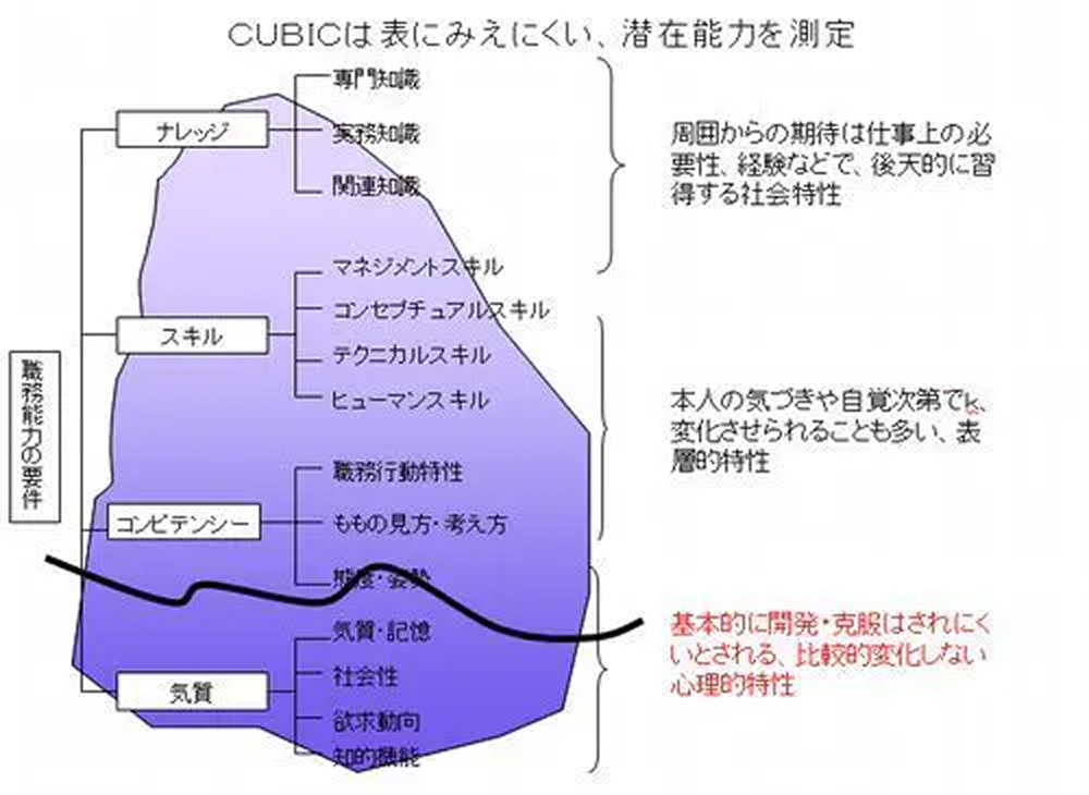 CUBICの測定領域